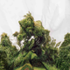Illustration for article titled Deformed Landscape Photos Will Twist Your Sense of Reality